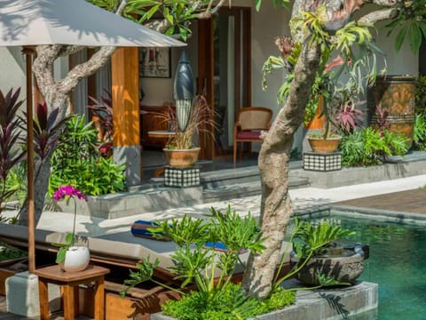 Garden, Garden view, Pool view, Swimming pool, sunbed