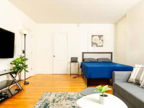 Spacious 1 bedroom Downtown House in Albany