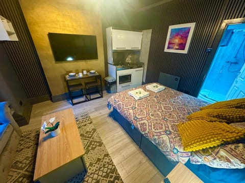Bed, TV and multimedia, Living room, Photo of the whole room, Seating area, Bedroom