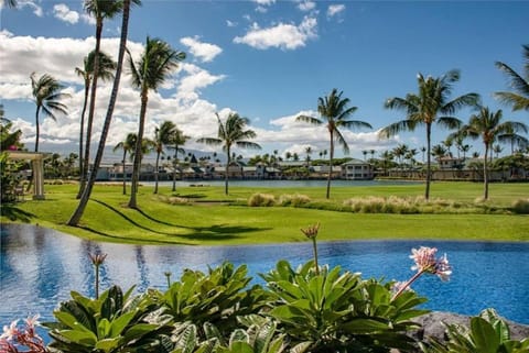 Hale Kaileia Kai - Peaceful Ground Floor Getaway Apartment in Puako