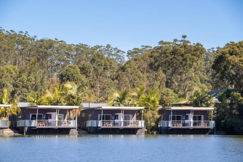 Lake view