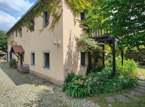 Property building, Garden, Garden view