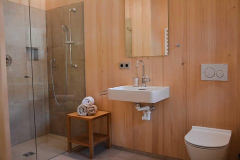 Shower, Toilet, Bathroom, towels