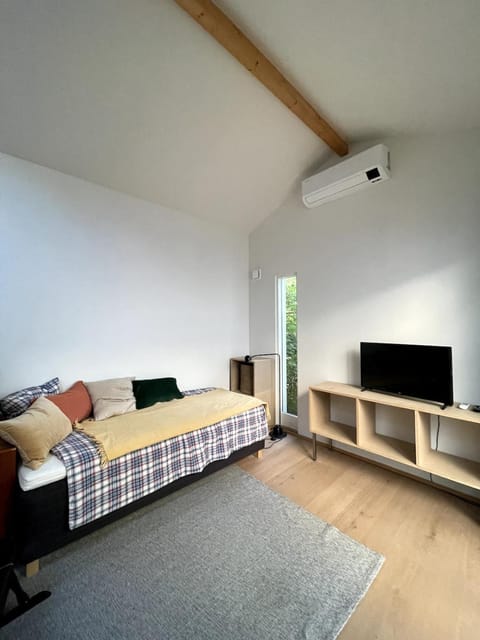 Bed, TV and multimedia, Living room, Photo of the whole room, air conditioner