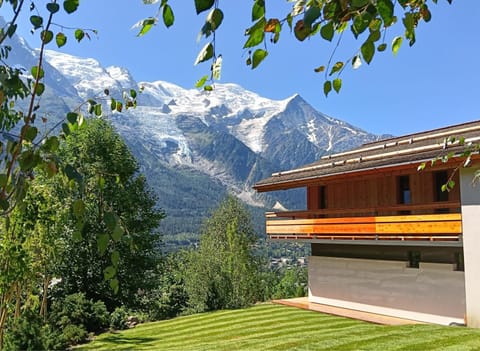 Summer, Garden, Mountain view