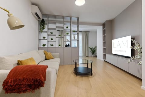TV and multimedia, Living room, Seating area, air conditioner