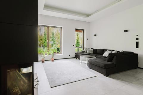 Living room, fireplace