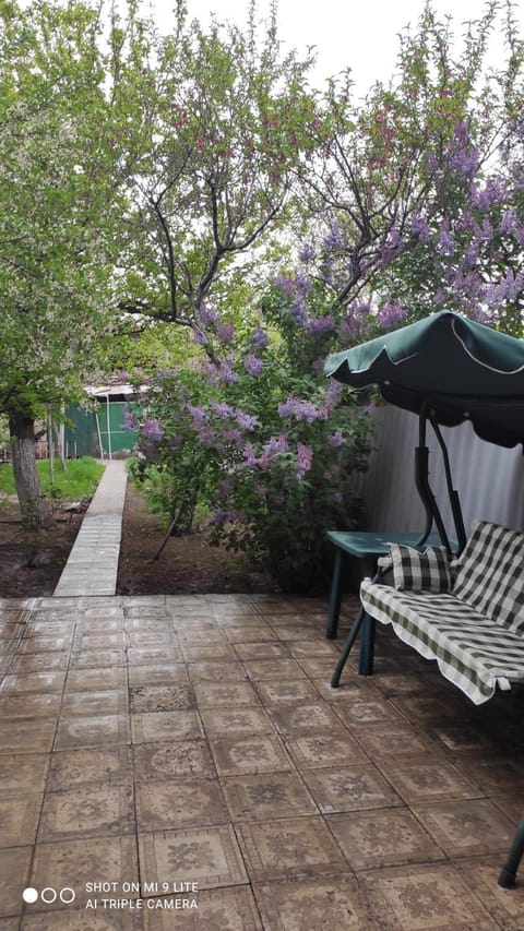 Spring, Day, Garden