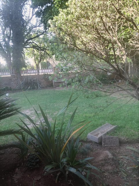 Garden view