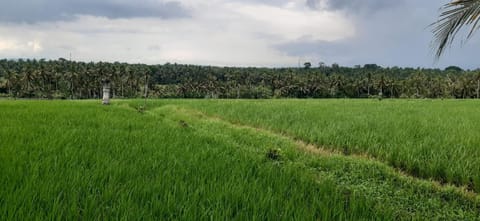 Villa Celagi Villa in Kerambitan