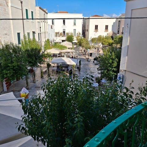 City view, Street view