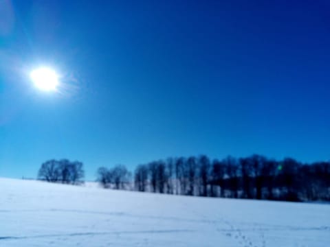 Natural landscape, Winter