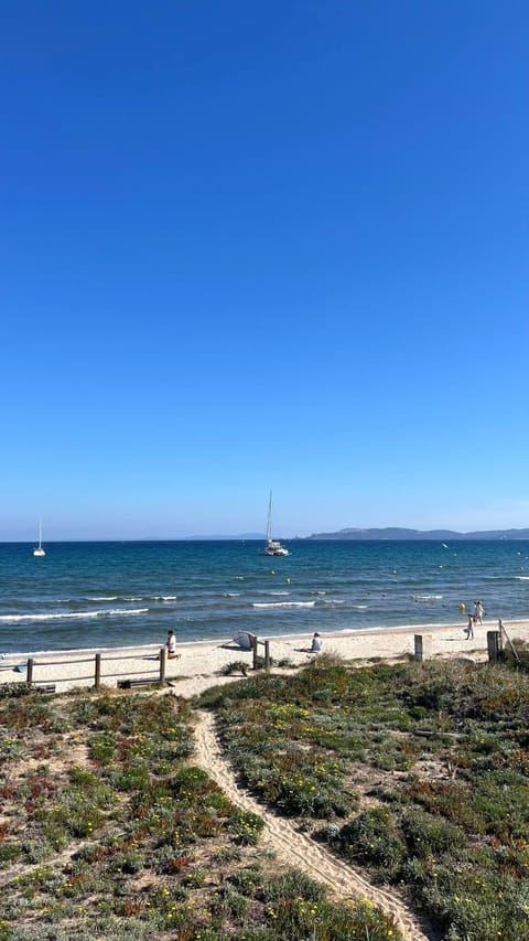 Natural landscape, Garden, Beach