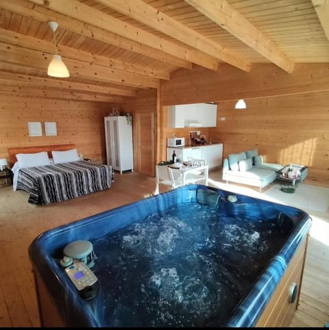 Hot Tub, Living room, Bedroom