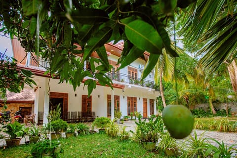 Garden, Garden