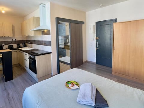Bed, Kitchen or kitchenette, Photo of the whole room, Bedroom, oven, stove, towels, wardrobe