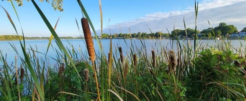 Welcome to Bluebird Cottage House in Lakeview