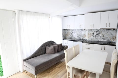 Kitchen or kitchenette, Living room, Seating area, Dining area