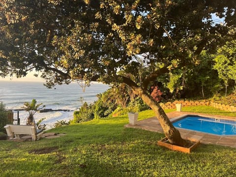 Garden, Swimming pool