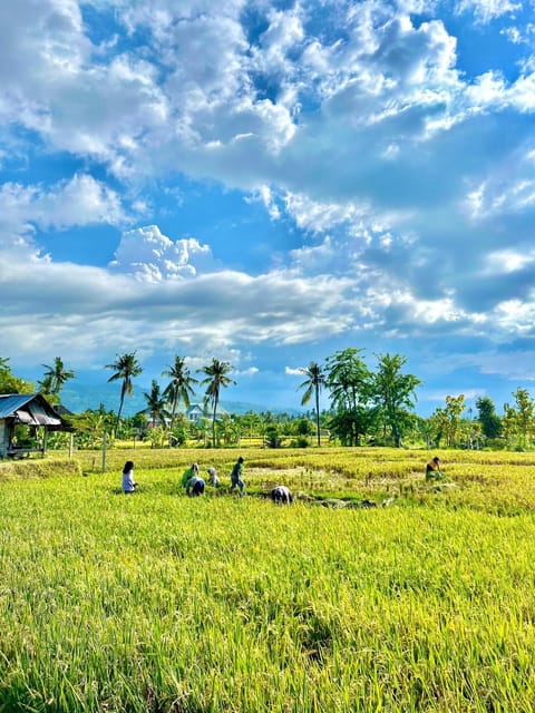 Natural landscape