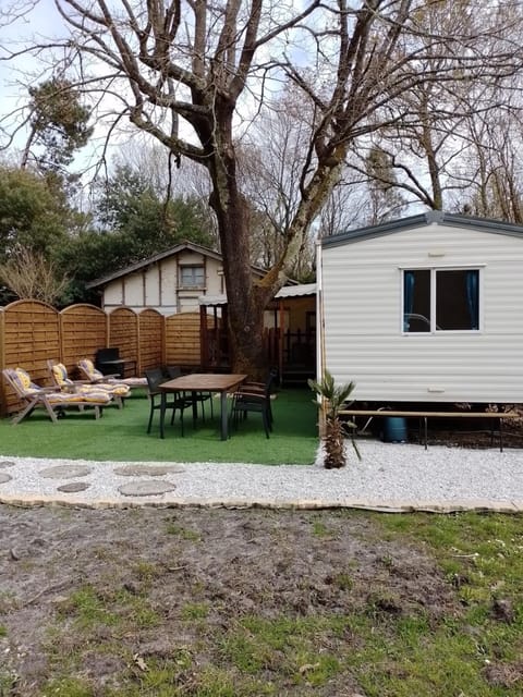 Patio, Garden, Dining area