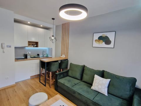 Kitchen or kitchenette, Living room, Seating area, Dining area, stove