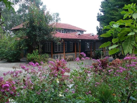 Day, Garden