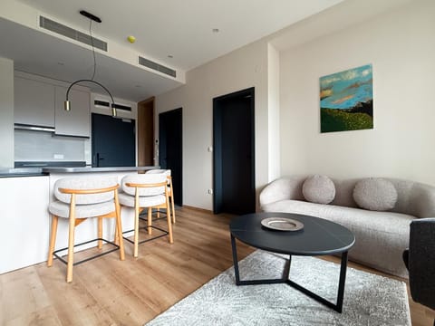 Kitchen or kitchenette, Living room, oven, stove