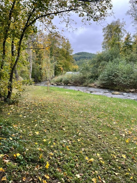 Natural landscape, River view