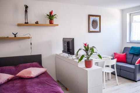Bed, TV and multimedia, Seating area