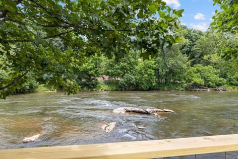 River Run - Riverfront Tiny Home, Trails, and Views! Apartment in Dillsboro