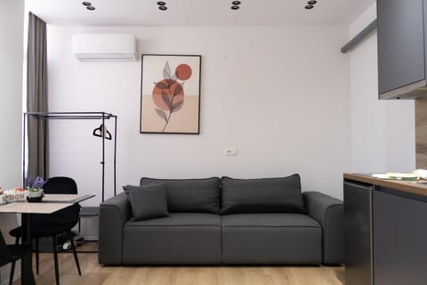 Kitchen or kitchenette, Living room, Seating area, Dining area, air conditioner