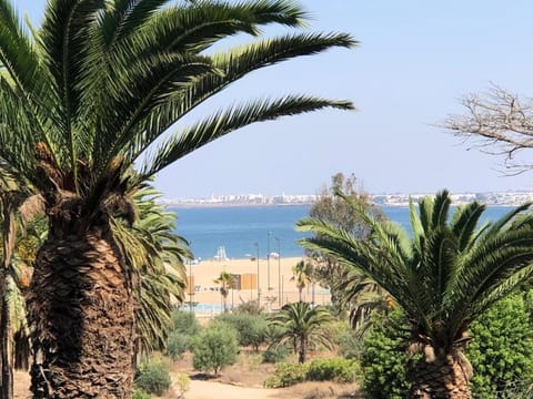Property view