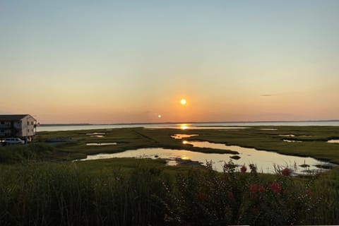 Coral Seas 103 Apartment in Ocean City