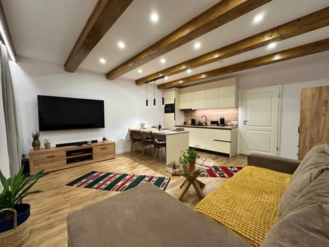 TV and multimedia, Kitchen or kitchenette, Living room, Seating area, Evening entertainment