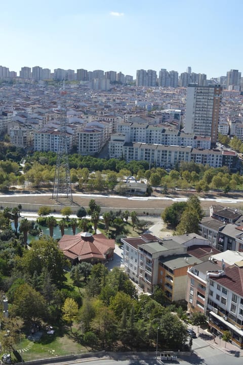 Property view