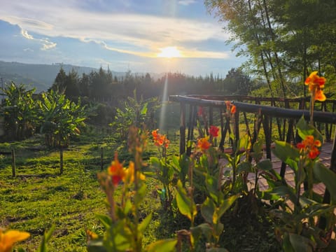 Natural landscape, Garden, Garden view, Mountain view, Sunset
