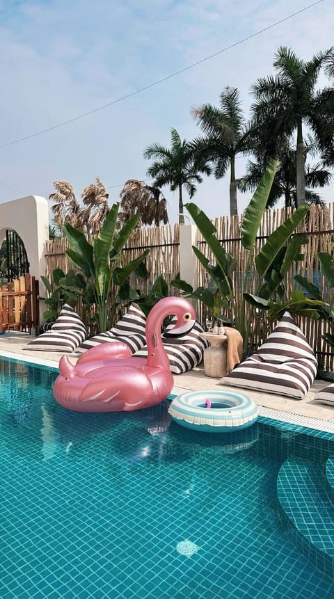 Swimming pool, Swimming pool