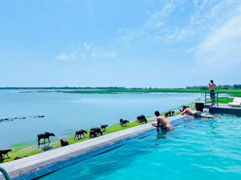 Day, Natural landscape, Lake view, Pool view, Swimming pool
