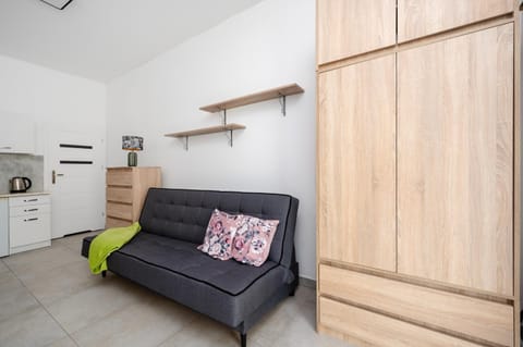 Bed, Kitchen or kitchenette, Living room, Photo of the whole room, Seating area, Bedroom, wardrobe