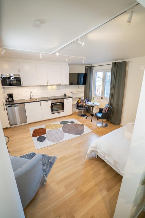 Kitchen or kitchenette, Living room, Seating area, Dining area, stove