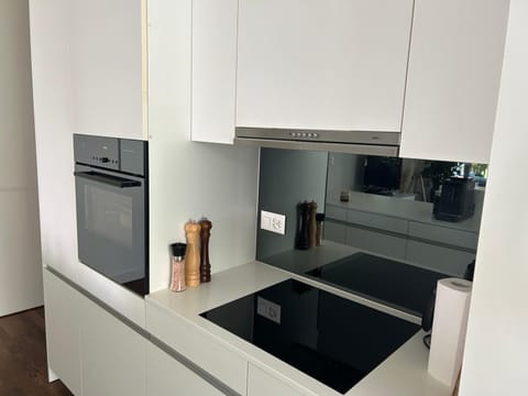 Beautiful 3bedroom Apt Apartment in Lucerne