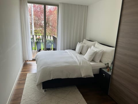 Beautiful 3bedroom Apt Apartment in Lucerne