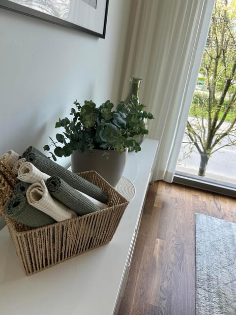 Beautiful 3bedroom Apt Apartment in Lucerne