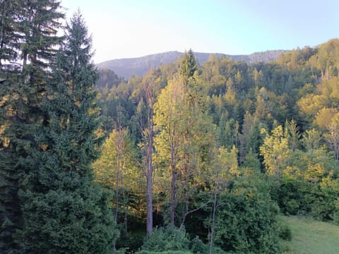 Studio Korra Apartment in Friuli-Venezia Giulia