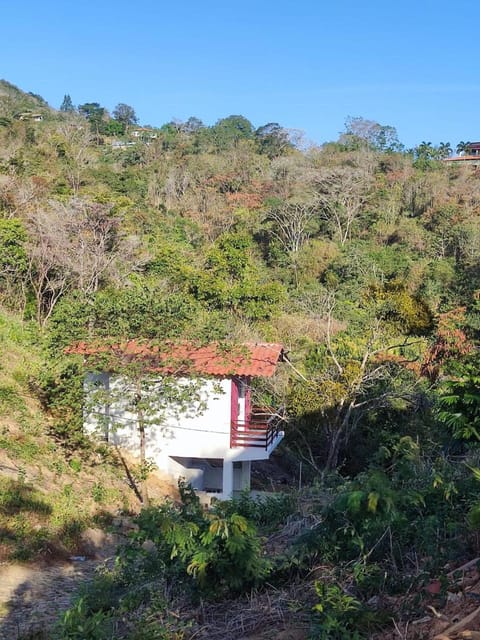 Natural landscape