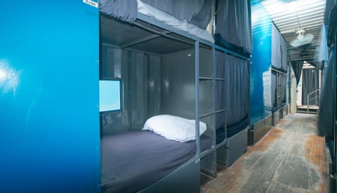 Bed, Photo of the whole room, Bedroom, bunk bed