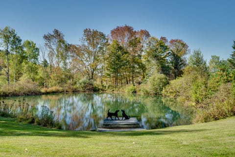 Private Spring-Fed Pond Idyllic Shrewsbury Cabin! Cabin in Vermont