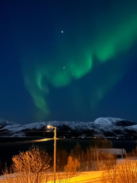 Night