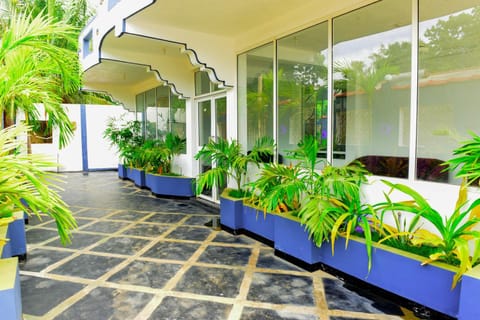 Day, Garden, Garden